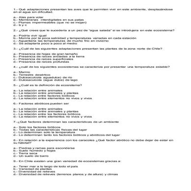 Prueba ecosistema cuarto básico