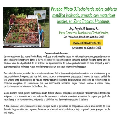 Prueba piloto 3 techo verde sobre cubierta metálica, materiales locales, zona tropical