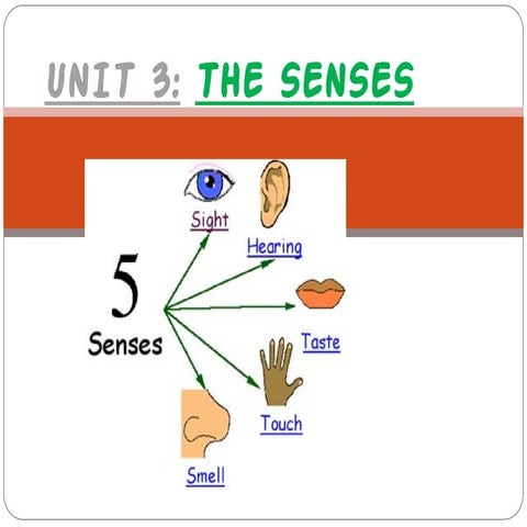 unit 3 science: the five senses