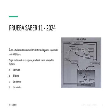 PRUEBA SABER 11 para usar en el estudió | PDF