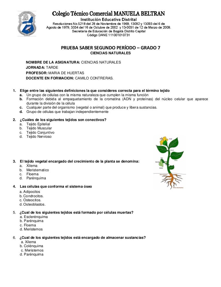 preguntas tipo icfes sobre historia universal prueba saber ciencias septimo preguntas tipo icfes sobre historia universal prueba saber ciencias septimo