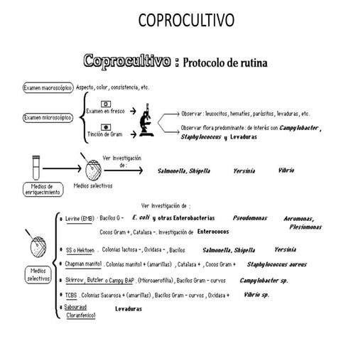 Pruebas bioquimicas y coprocultivo