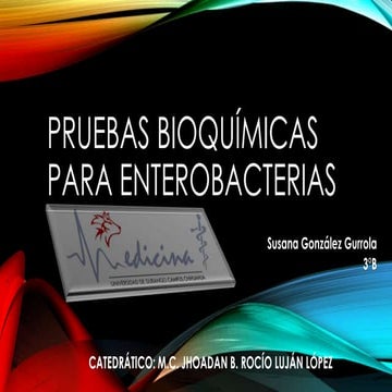 Pruebas bioquímicas