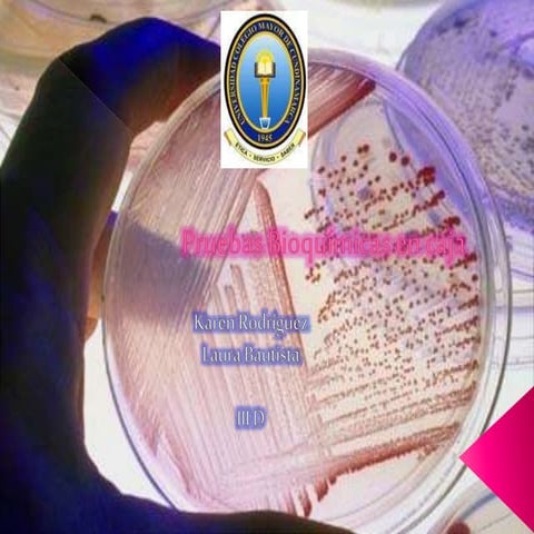 Medio de Cultivo Bacteriano.