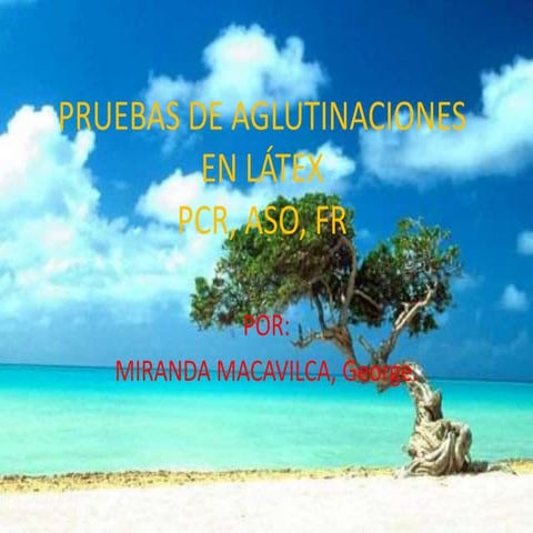 Pruebas de aglutinaciones  en látex ppp