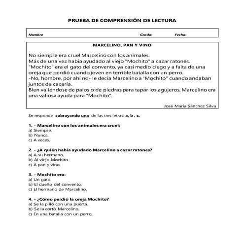 Pruebas de comprension lectora