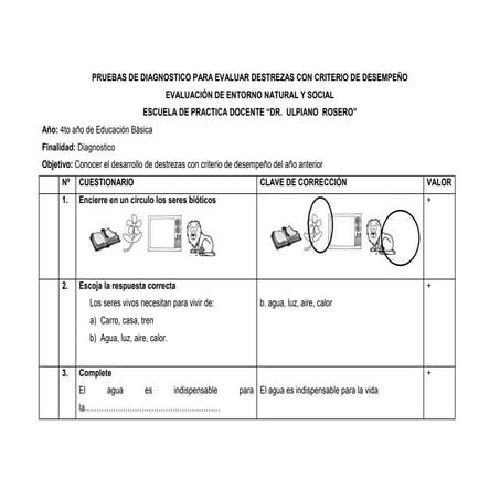 Pruebas de diagnostico para evaluar destrezas con criterio de desempeño