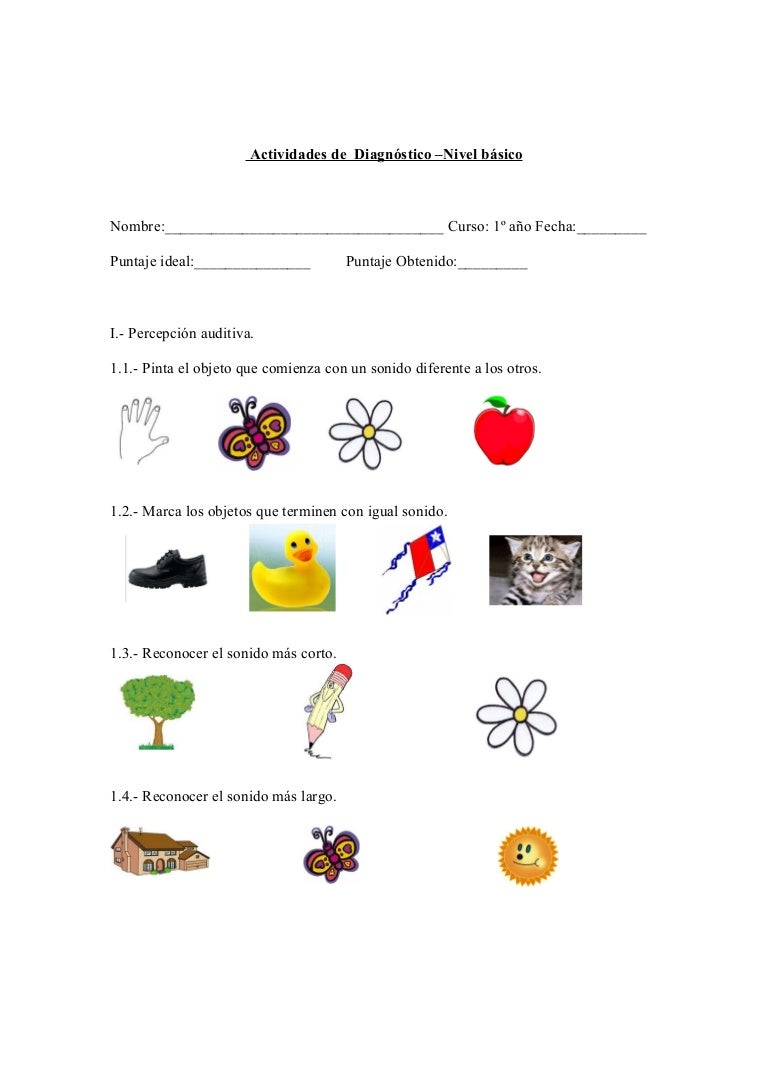 Pruebas de diagnóstico nivel básico