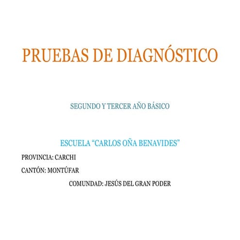 Pruebas de diagnóstico tercer año