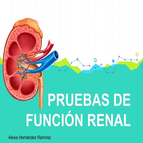 Pruebas de función renal