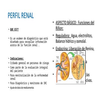 Comprehensive Overview of Renal Profile and Kidney Function Assessment ...