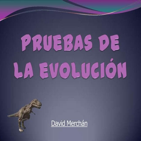 Pruebas de la Evolución