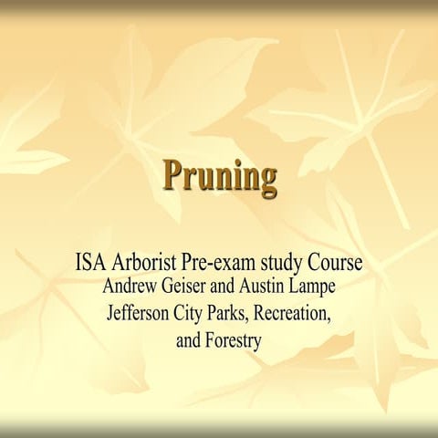 Pruning