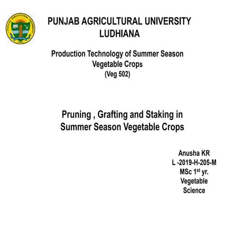 Pruning and grafting in vegetable crops
