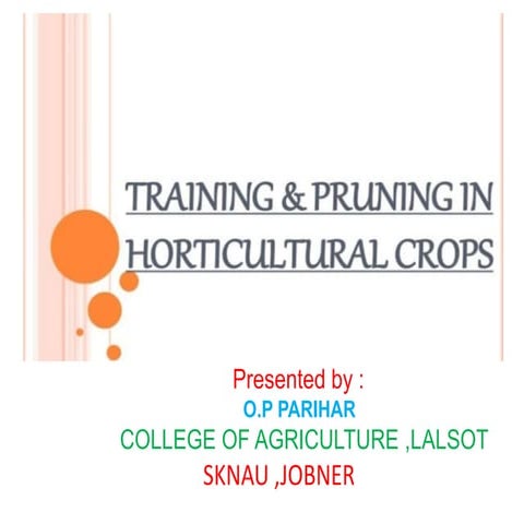 Pruning and training