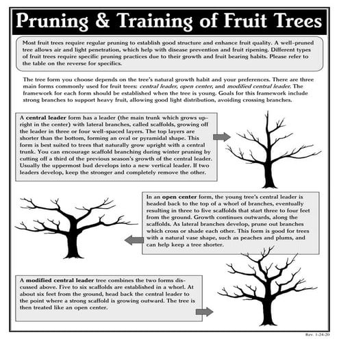 Pruningand trainingfruittrees