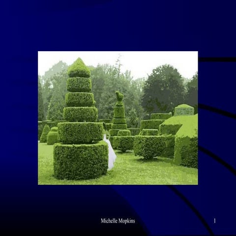 How Change The Way You Approach Pruning Trees & Shrubs with Michelle mopkins