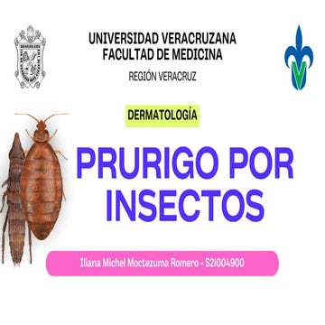Prurigo por insectos | PPTX