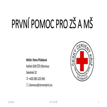Ukázky první pomoci pro děti předškolního a školního věku a  kurzy PP pro uči...