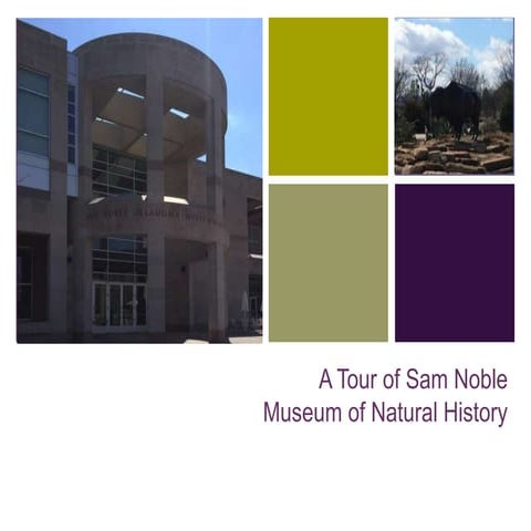 Pearle Vision brochure | PDF