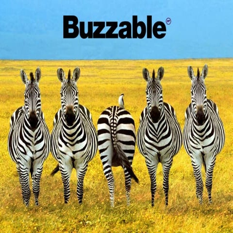 Find your X - EO Greece 2015