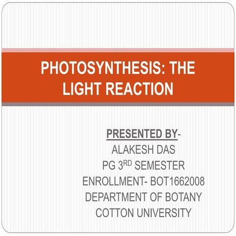 Light reaction of Photosynthesis