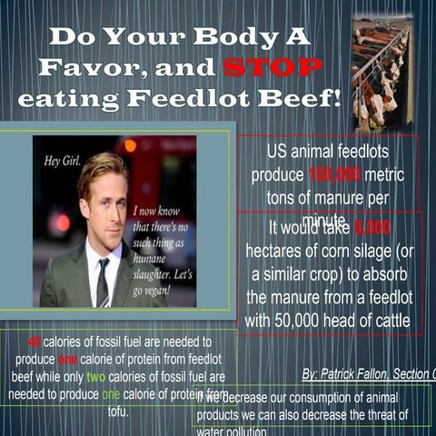Psa   feedlot beef