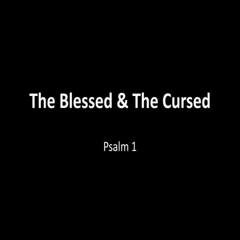 The Blessed and the Cursed