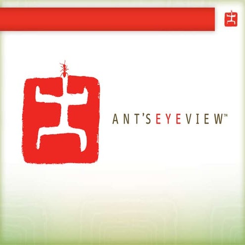 Psama january2011 seanod_final