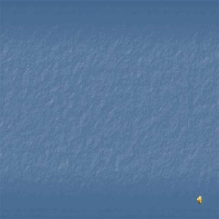 Meus pés mostram a jornada!