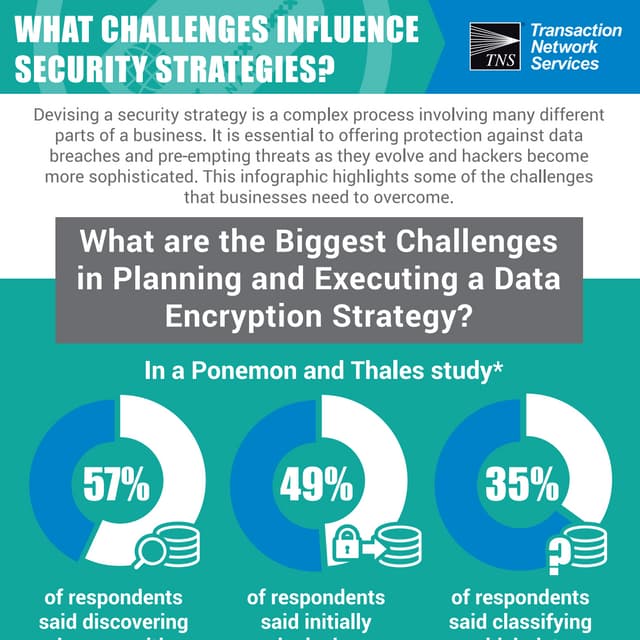 TNS Data Breach Infographic - Challenges Faced