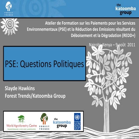 Pse   questions politiques fr