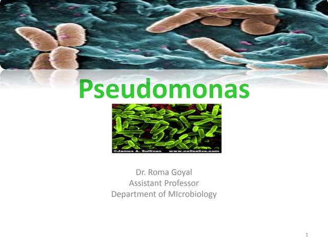 Pseudomonas