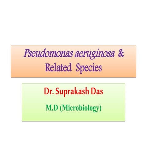 Pseudomonas aeruginosa