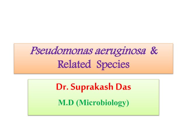 Pseudomonas aeruginosa