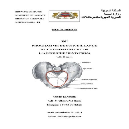 Programme de surveillance de la grossesse accouchement 