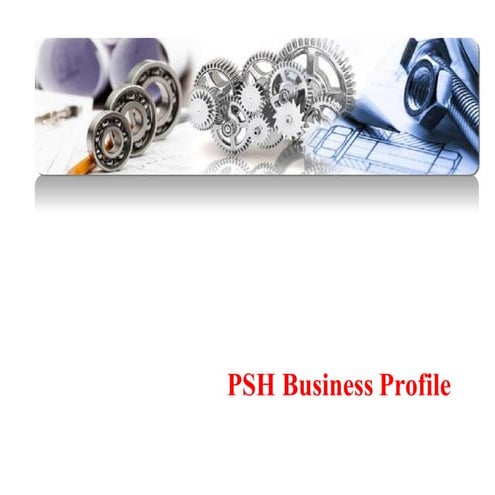 PSH Business Profile 2019