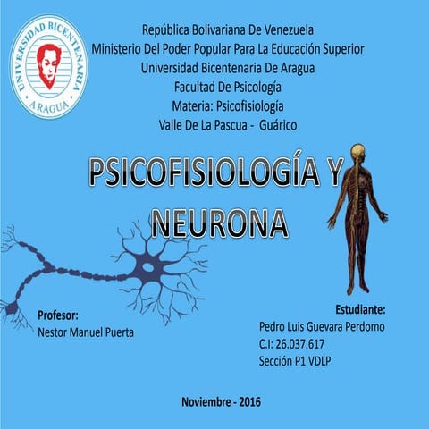 Psicofisiologia y neurona