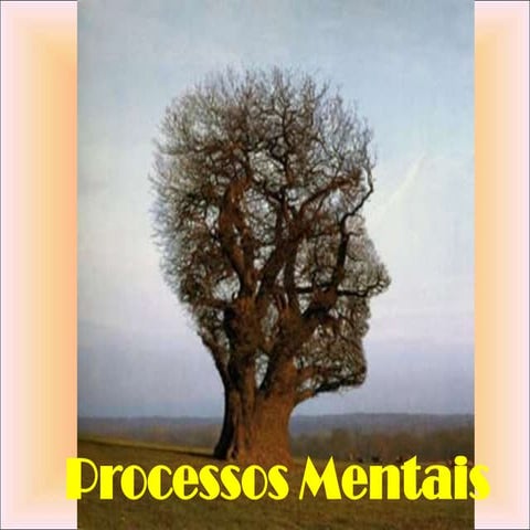Psicologia b – tema 2 percepção