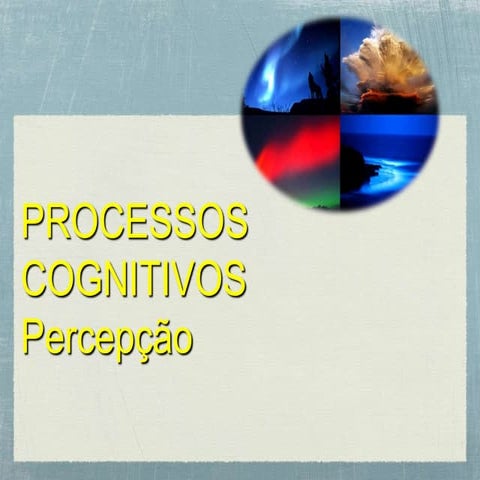 Processos Mentais 2 - A Percepção