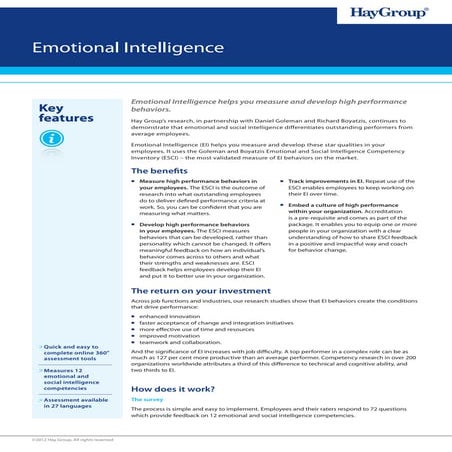 Emotional Intelligence Factsheet | PDF