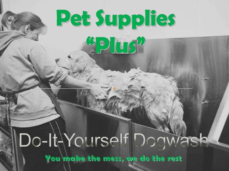 dog wash supplies