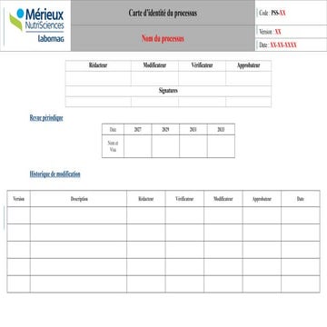 Comprehensive Process Identity and Management Documentation with ISO ...