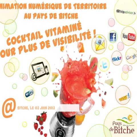 Présentation réunion d'info ANT Pays de Bitche 2013