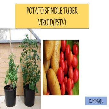 viroid diseases (potato spindle tuber viroid disease),coconut cadang cadang v...