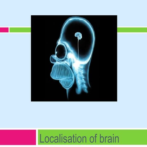 Psych11   bloa - localisation of brain function- exterior structure