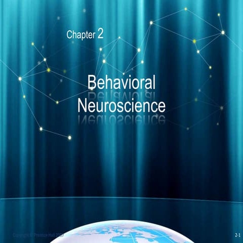 Psych neuroscience.ppt