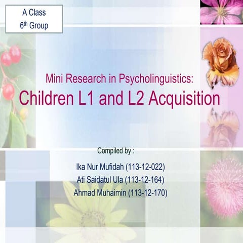 Mini Research in Psycholinguistic