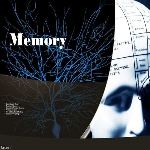 Psychology 1 MEMORY