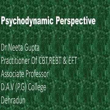 Psychodynamic Perspective